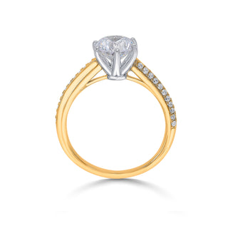 Pave Cathedral Solitaire 925 Sterling Silver Ring
