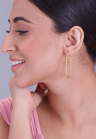 Hoops & Huggies  Earrings