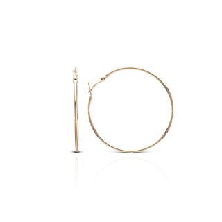 Golden Classic Brass Hoop Earrings